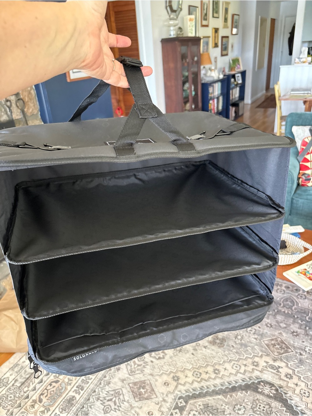 Solgaard Carry-On Closet 3 Shelf Hanging Packing Organizer Black Luggage
